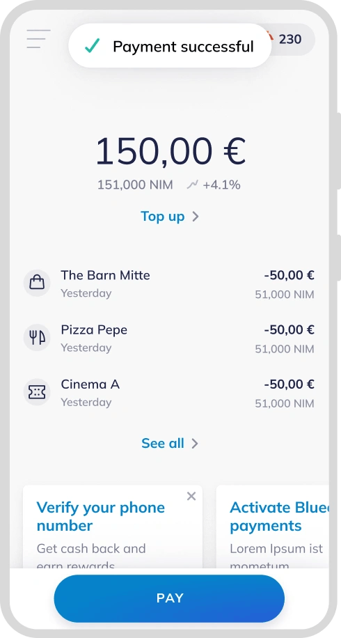 Pay App